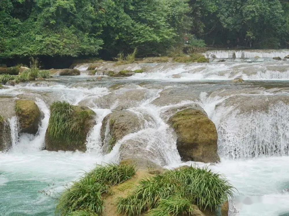虫虫助手下载